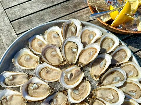 Photo Credit: hudsonsonthedocks.com