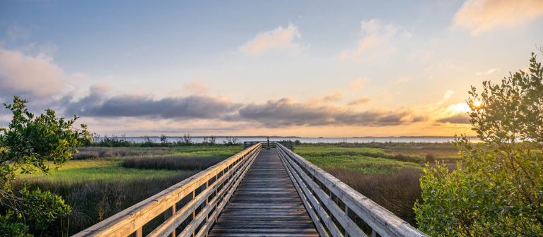 Five Star Properties Hilton Head