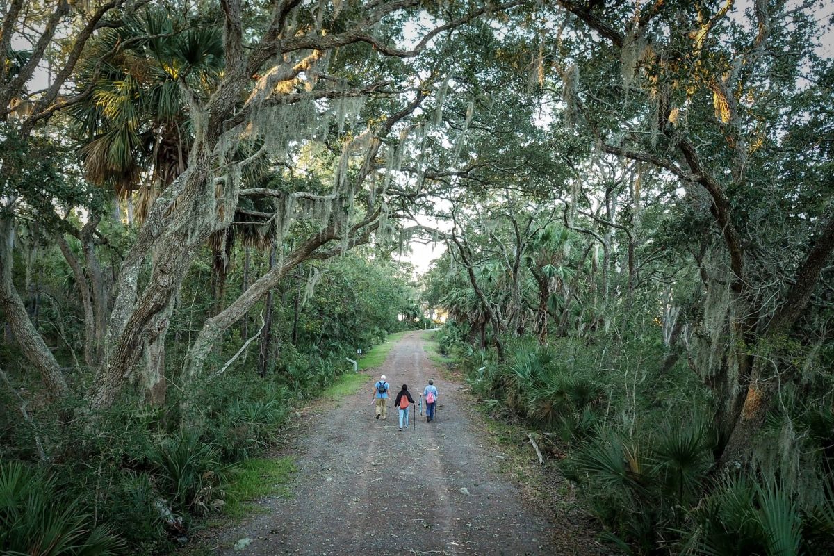forest trail at Victoria Bluff Heritage Preserve