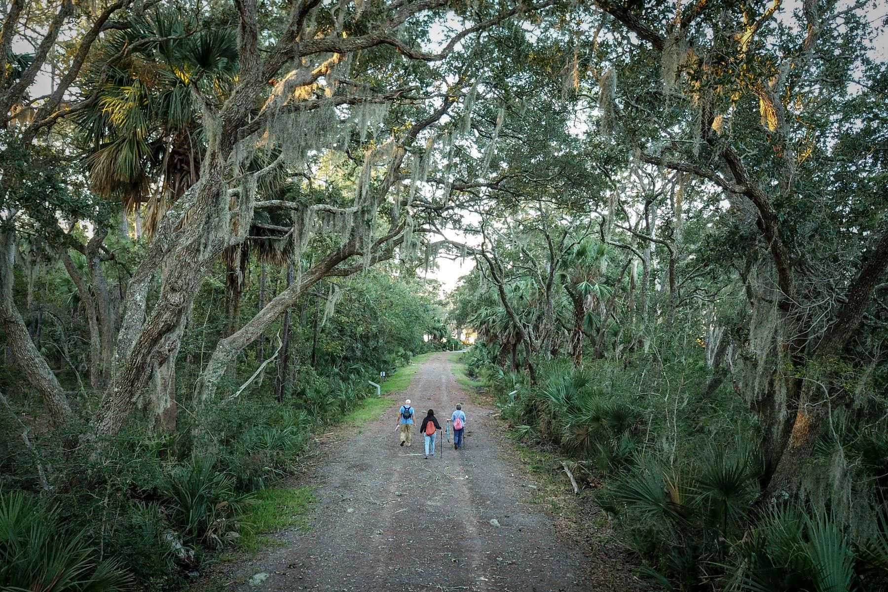 forest trail at Victoria Bluff Heritage Preserve